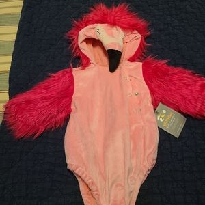 Pottery Barn Kids Flamingo costume